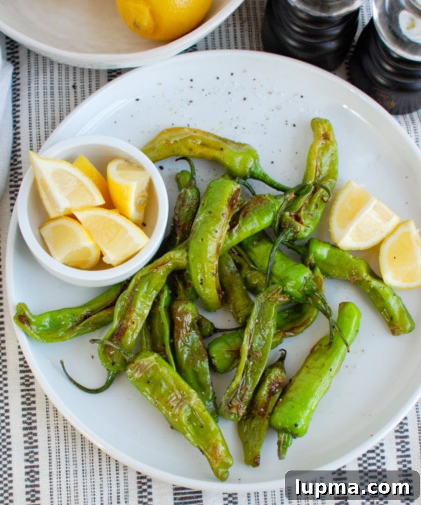 Mastering Shishito Peppers 1 featured 33496
