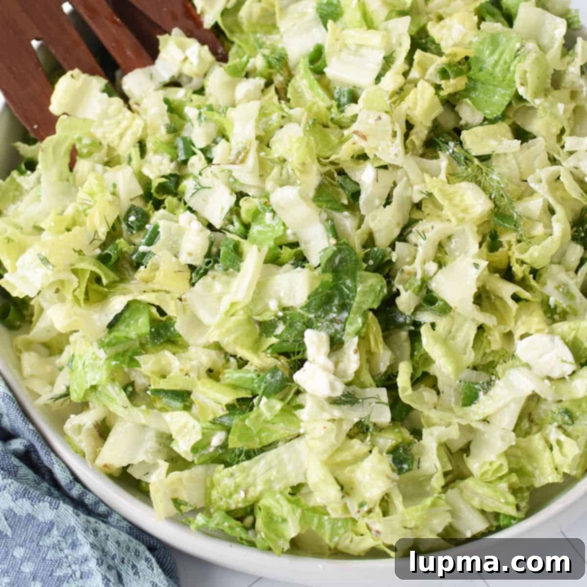 Maroulosalata Crisp Greek Lettuce Salad 1 featured 66746