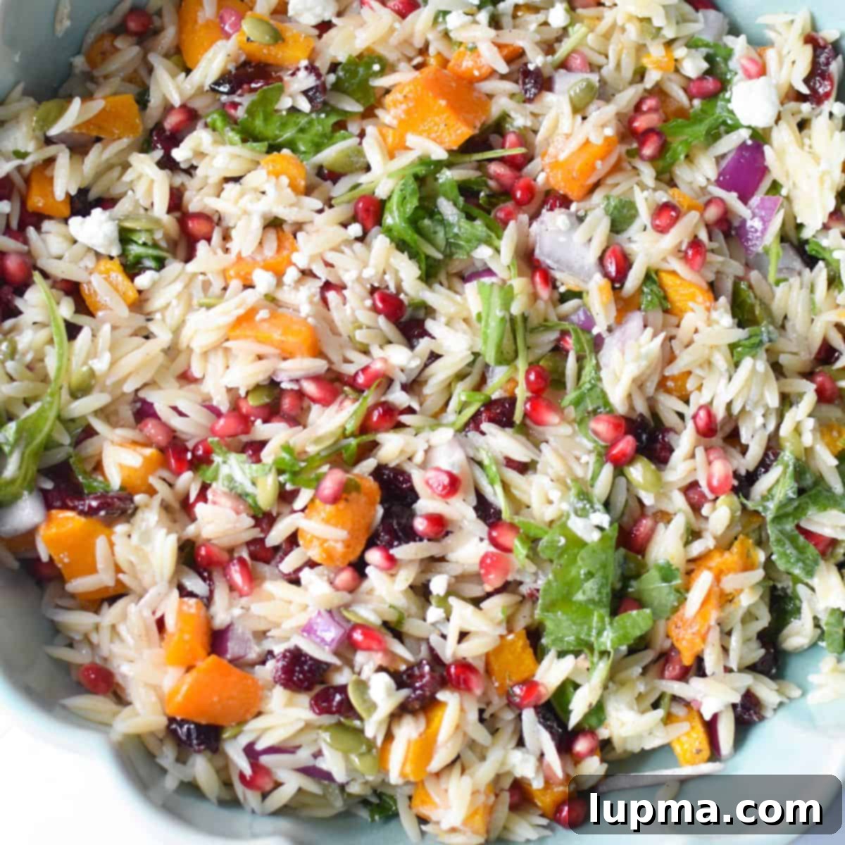 Hearty Autumn Orzo Salad 1 featured 84201