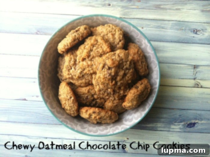 Chewy Oatmeal Chocolate Chip Cookies