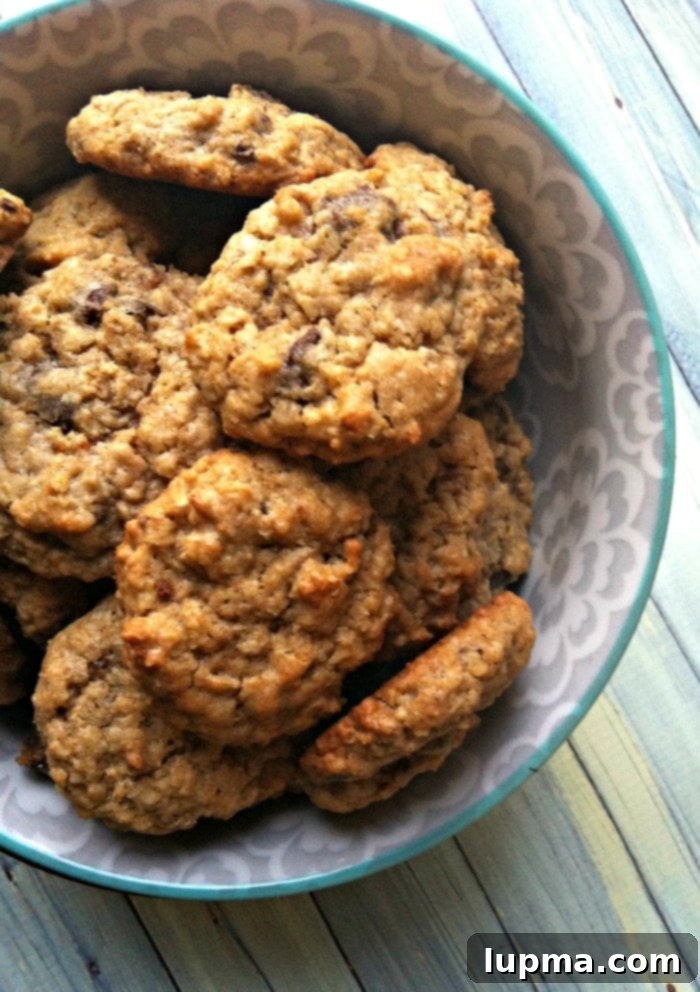 Chewy Oatmeal Chocolate Chip Cookies