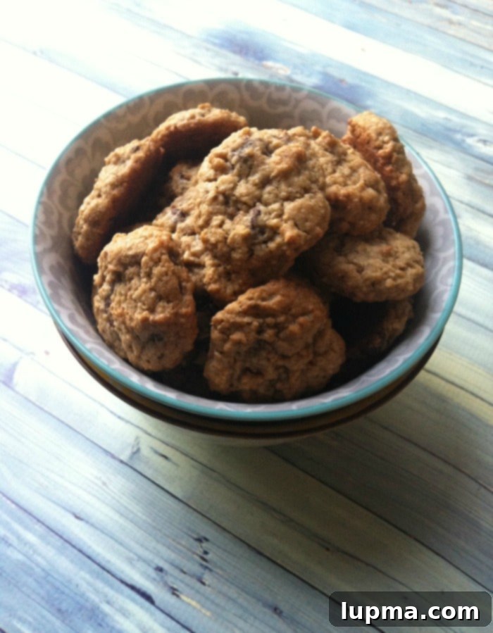 Chewy Oatmeal Chocolate Chip Cookies