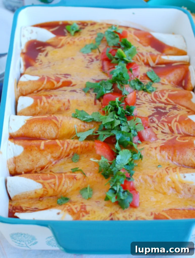 Simple Chicken Enchilada Bake 2 Easy Chicken Enchiladas in a blue baking pan, topped with melted cheese and fresh cilantro.
