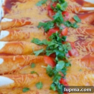 Simple Chicken Enchilada Bake 7 Easy Chicken Enchiladas 1200 x 1200