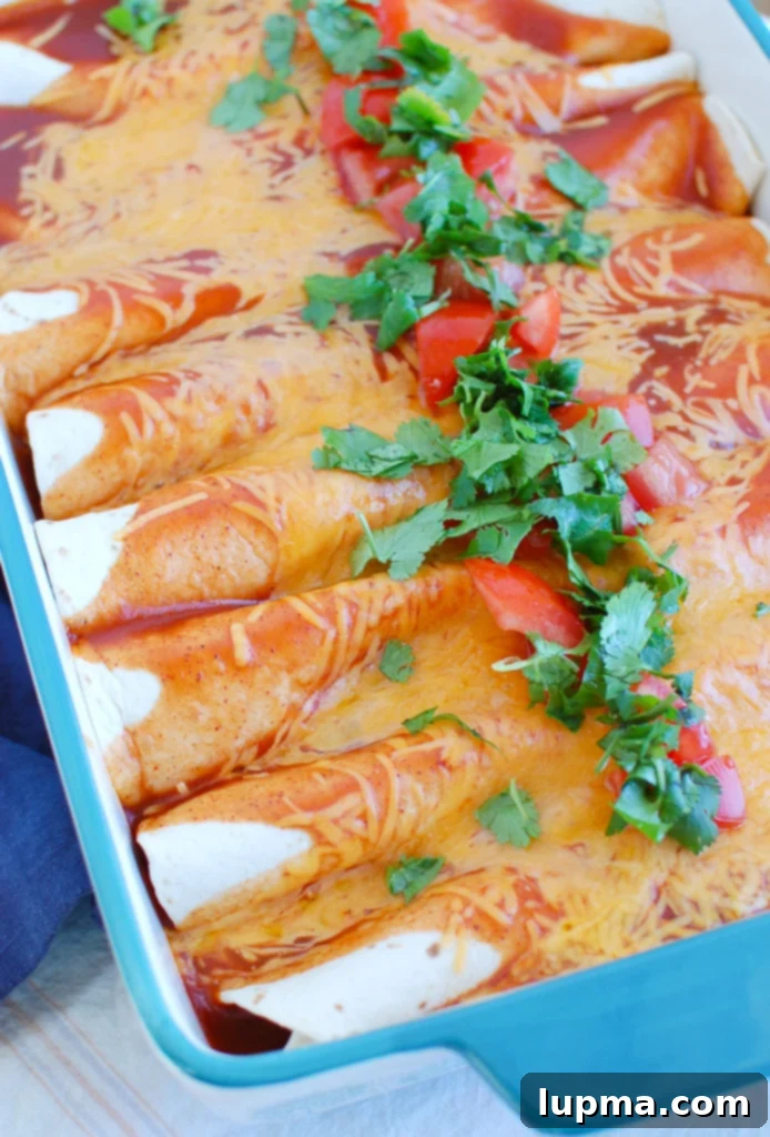 Simple Chicken Enchilada Bake 3 Close-up of Easy Chicken Enchiladas garnished with fresh cilantro in a baking dish.