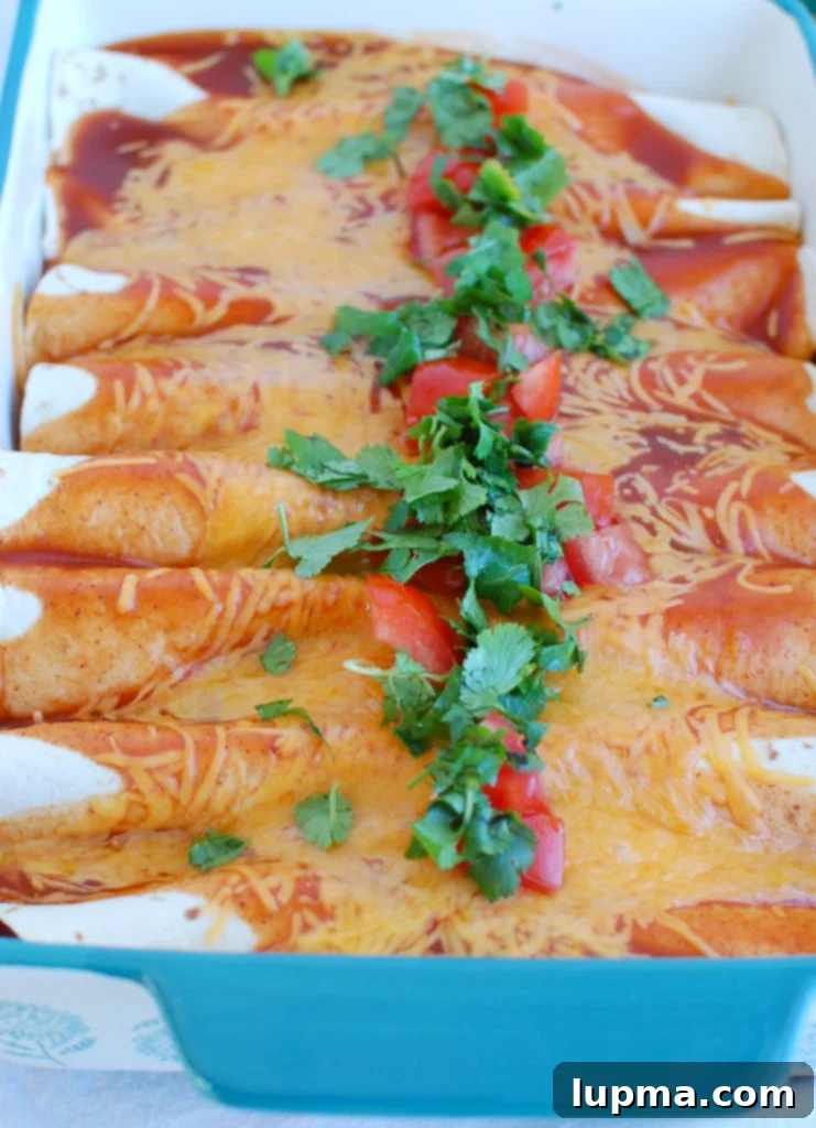 Simple Chicken Enchilada Bake 4 Assembled chicken enchiladas in a baking dish before sauce and cheese are added, with diced tomatoes visible.