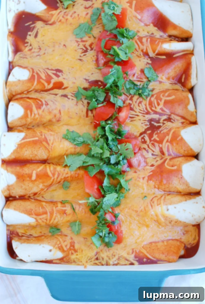 Simple Chicken Enchilada Bake 5 Easy Chicken Enchiladas in a large casserole dish, ready to be served.