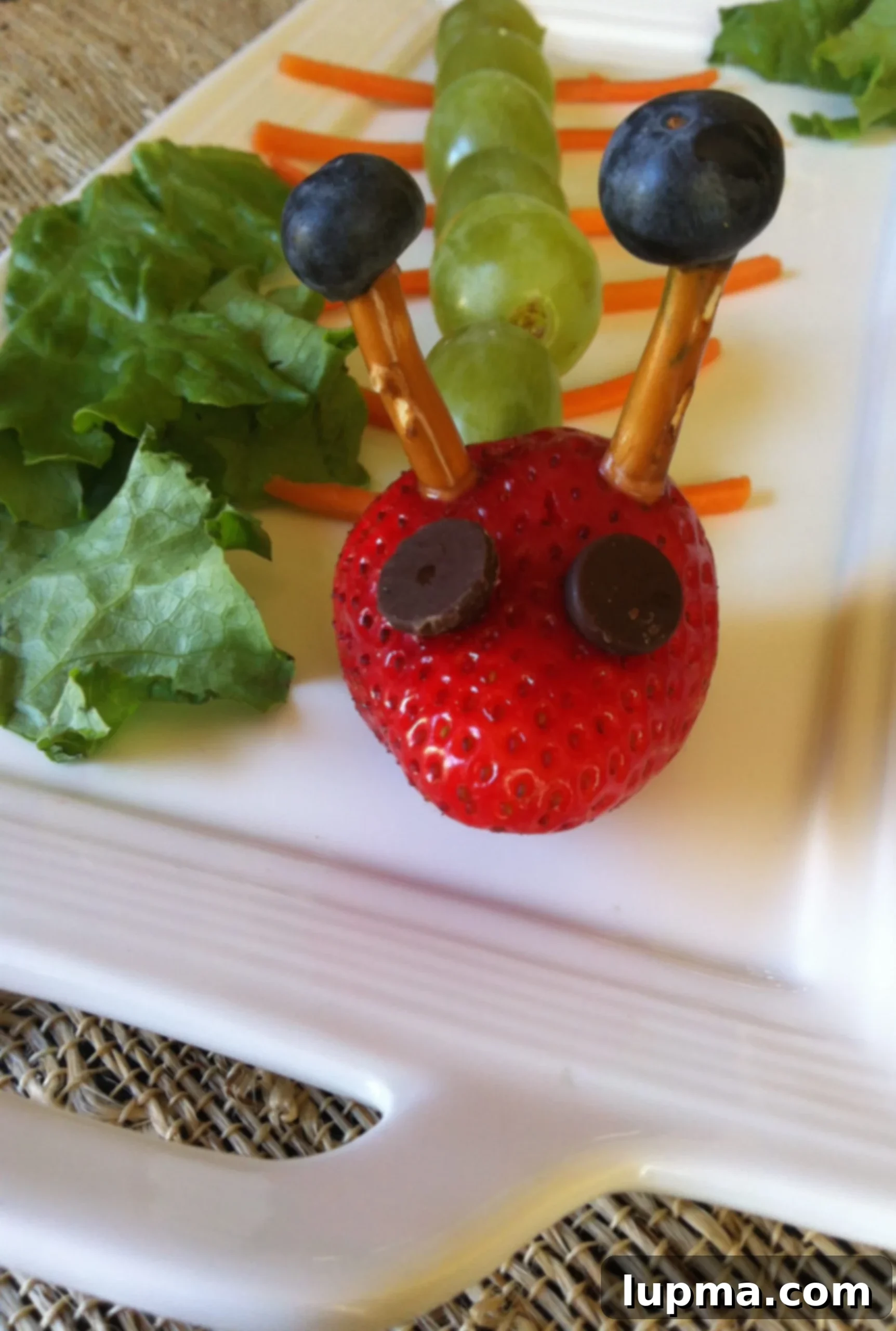 Fun Fruit Caterpillar Snacks 2 Fruit Caterpillar