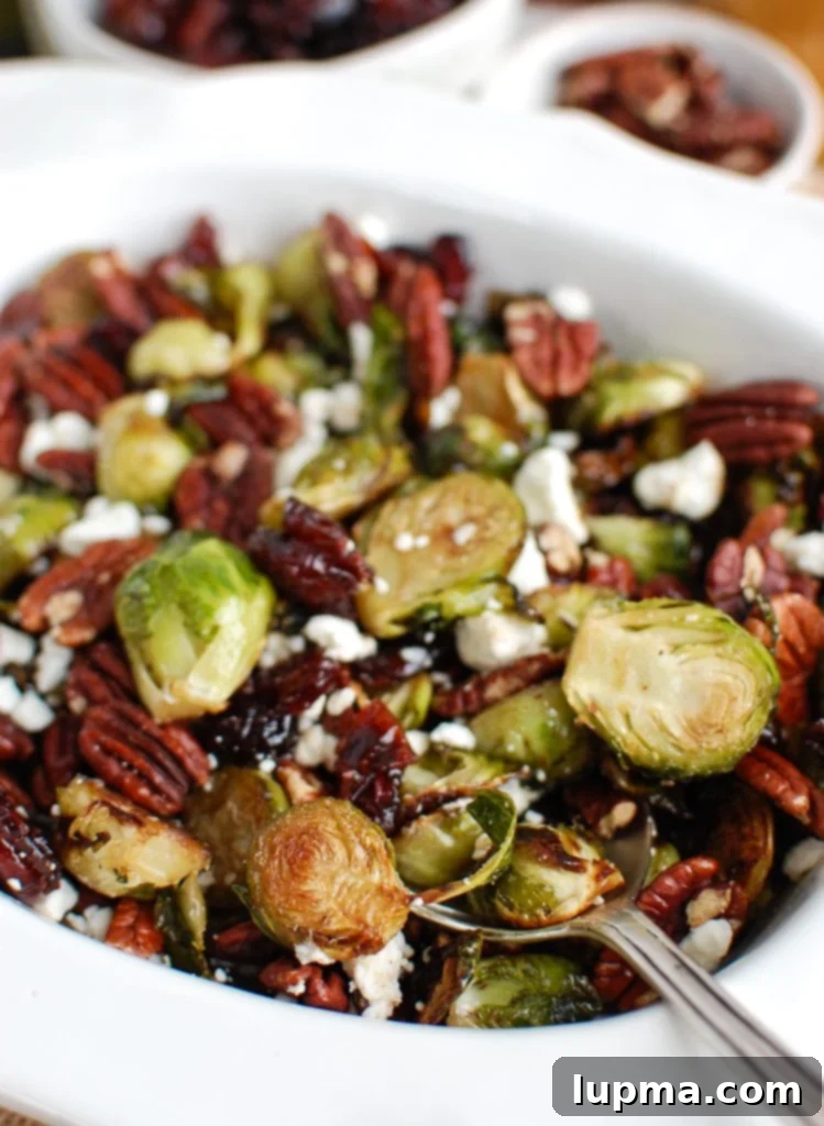 Crispy Brussels Sprouts with Tangy Cranberries 3 Close-up of roasted Brussels Sprouts with Cranberries and a serving spoon, showcasing the delicious blend of ingredients.