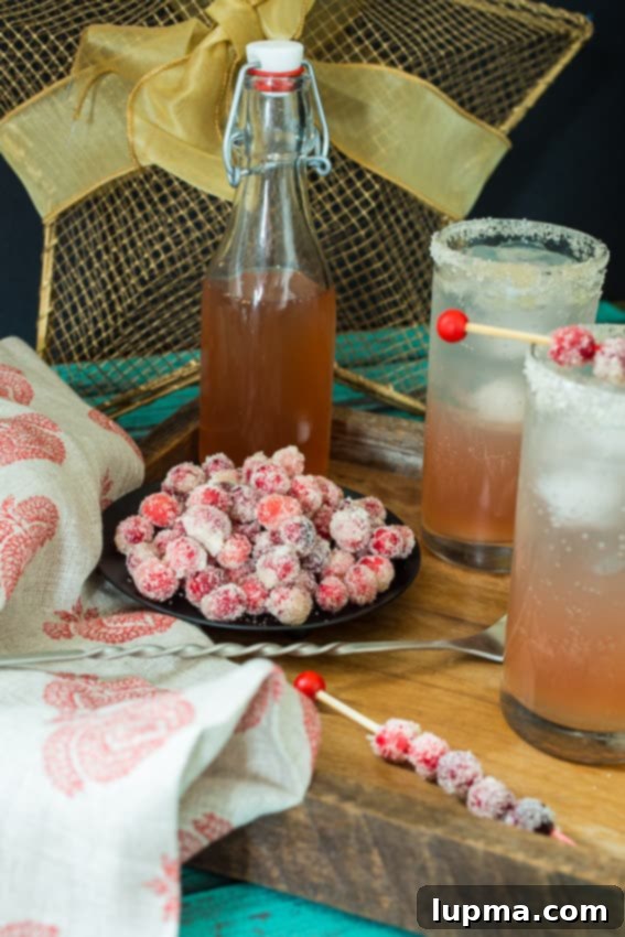 41 Holiday Drink Inspirations 11 Cranberry-Moscow-Mule-4