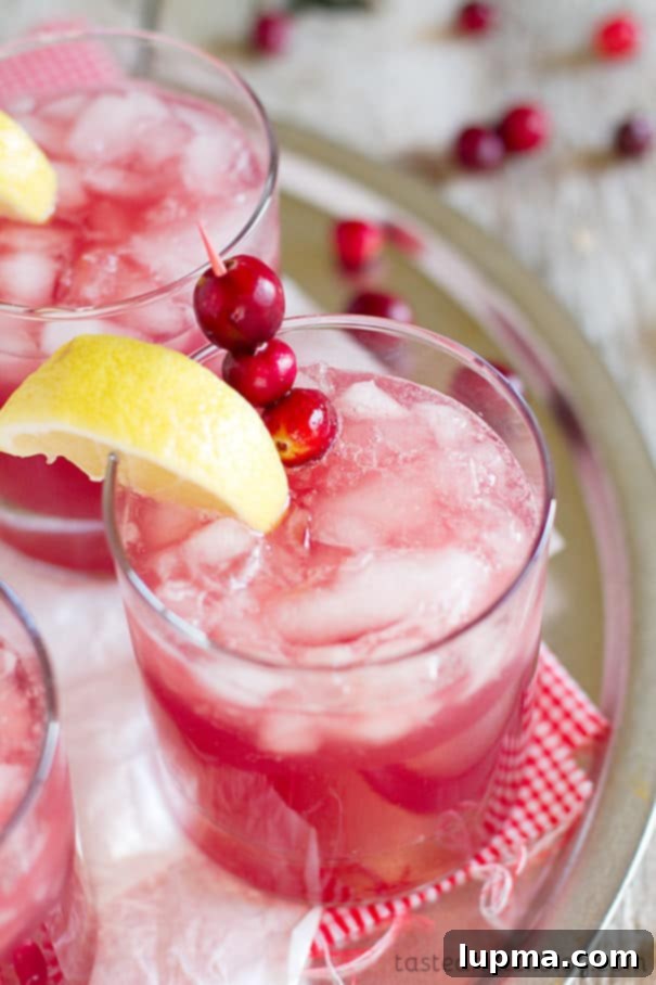 41 Holiday Drink Inspirations 13 Sparkling-Cranberry-Punch-recipe-Taste-and-Tell-2