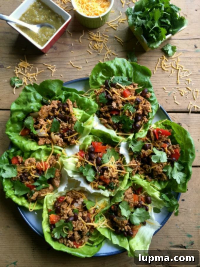 Zesty Mexican Turkey Lettuce Wraps 2 Flavorful Mexican Turkey Lettuce Wraps ready to be served