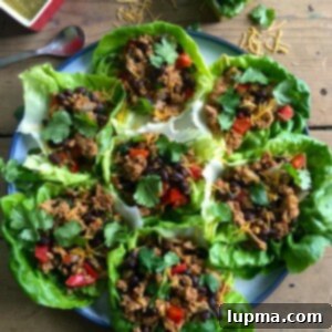 Zesty Mexican Turkey Lettuce Wraps 6 Mexican Turkey Lettuce Wraps