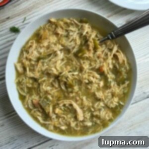 Zesty Slow Cooker Salsa Verde Chicken Tacos 9 Slow Cooker Salsa Verde Chicken Tacos 1200 x 1200