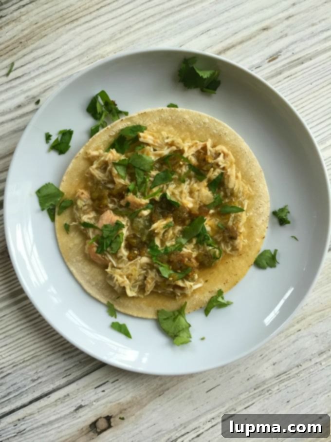 Zesty Slow Cooker Salsa Verde Chicken Tacos 7 Close-up of shredded Slow Cooker Salsa Verde Chicken for tacos