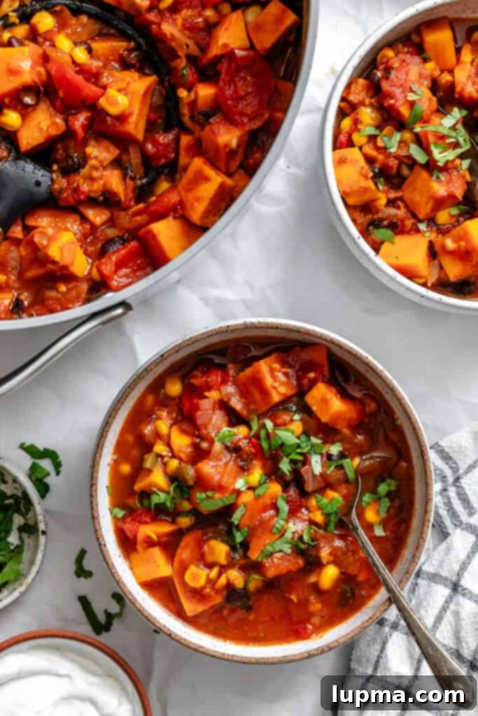 Hearty Sweet Potato Chili 11 Sweet Potato Chili with two bowls