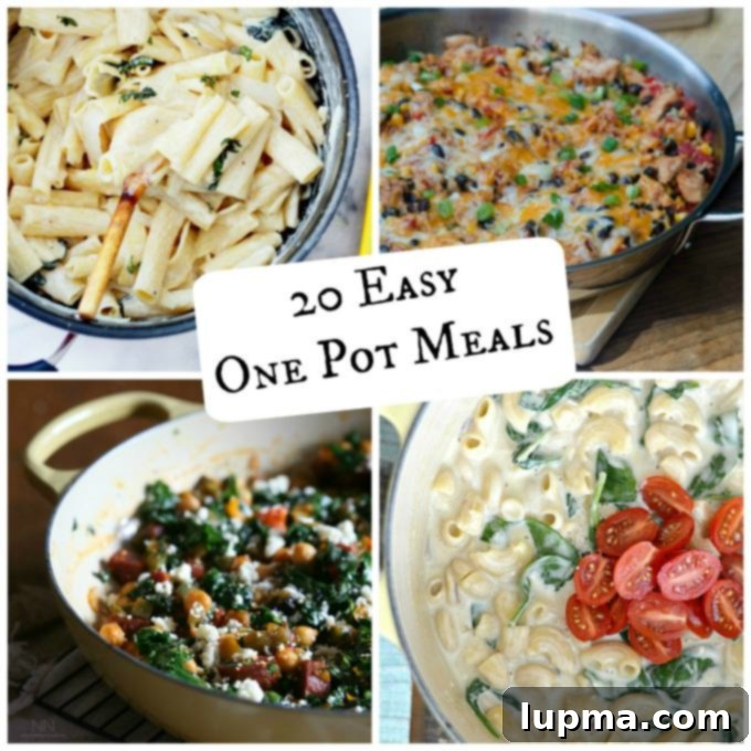 20 Easy One Pot Meals - so easy