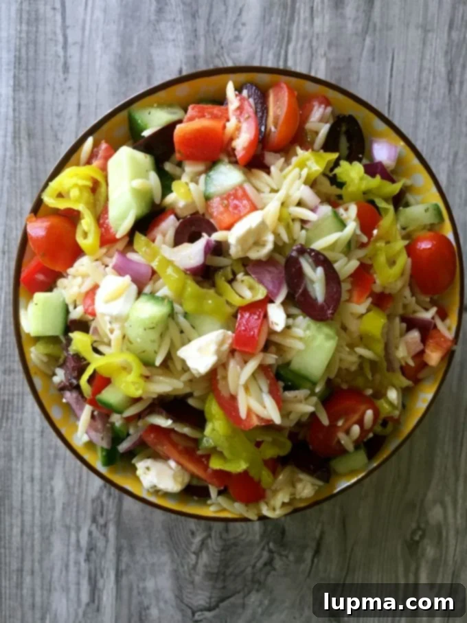 Greek Orzo Pasta Salad - great for picnics!