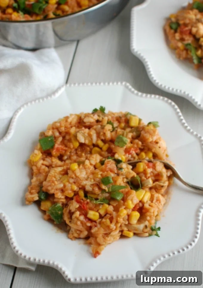 Canyon Spice Chicken with Rice 5 A large serving of Southwestern Chicken and Rice in a decorative bowl, topped with fresh cilantro and green onions.