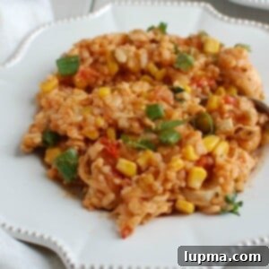 Canyon Spice Chicken with Rice 6 Southwestern Chicken and Rice