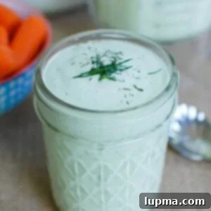 Velvety Dill Sauce 7 Creamy Dill Sauce 1200 x 1200