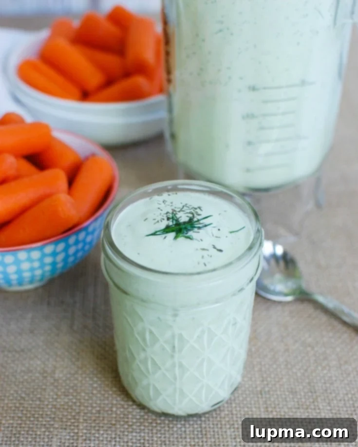 Velvety Dill Sauce 3 Creamy Dill Sauce Recipe with dill on top.