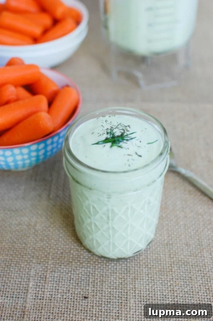 Velvety Dill Sauce 5 Creamy Dill Sauce Recipe with carrots.