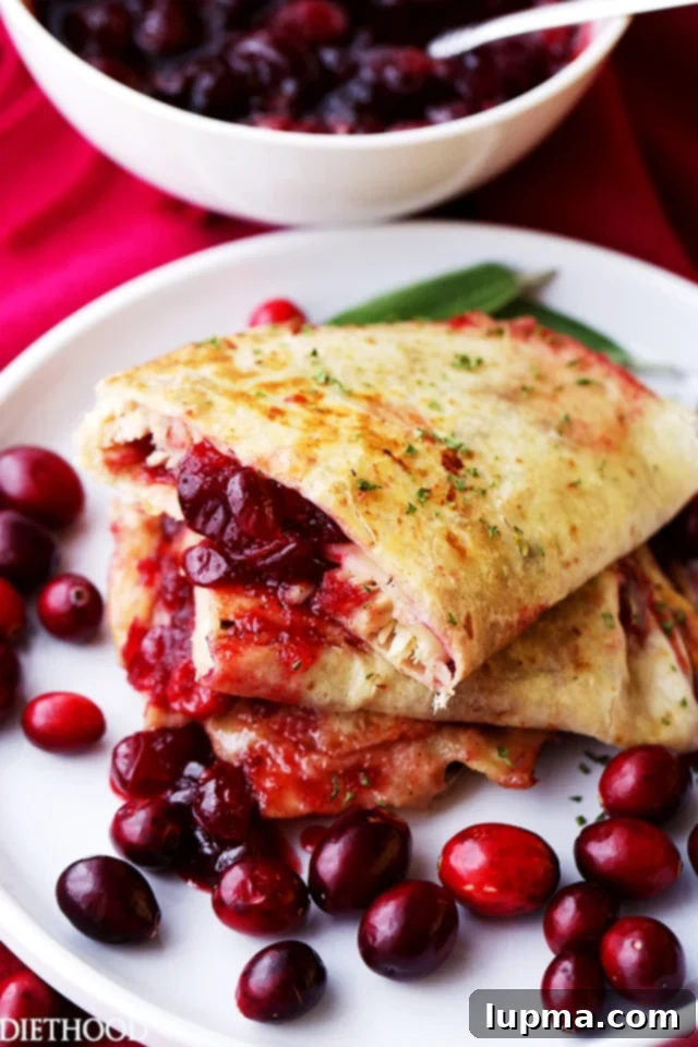 Cranberry Turkey Quesadillas