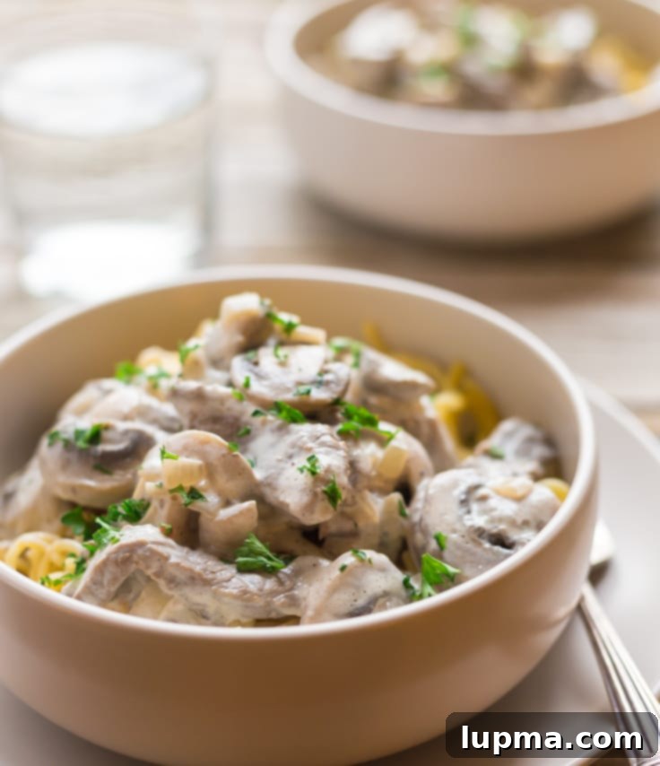 Easy Paleo Beef Stroganoff