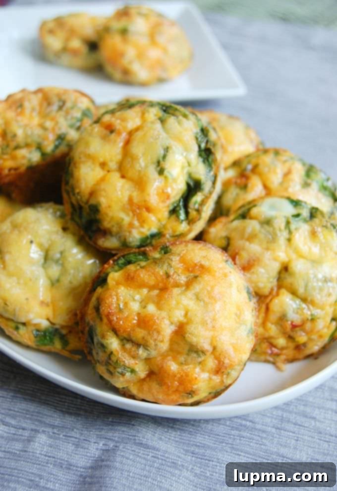 Ultimate Loaded Smashed Potatoes 9 Vegetarian Breakfast Egg Muffins are a great snack or breakfast. So healthy!