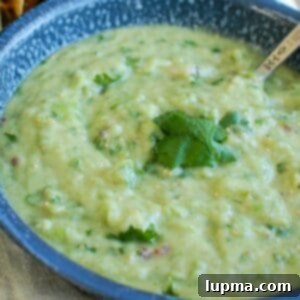 Zesty Avocado Tomatillo Salsa 7 Avocado Tomatillo Salsa 1200 x 1200