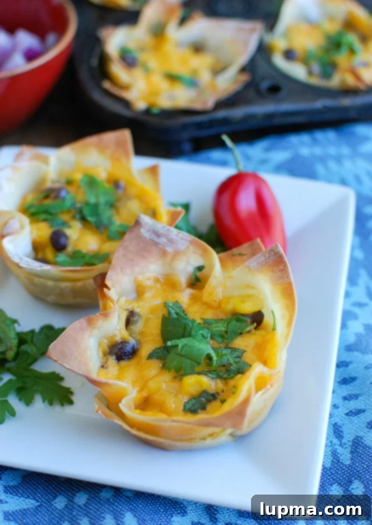 Cheesy Broccoli Chicken Bake 9 Crispy Southwestern Hummus Baked Wonton Cups filled with spicy hummus, black beans, corn, and Sargento Monterey Jack cheese, ideal for game day snacks or party food.