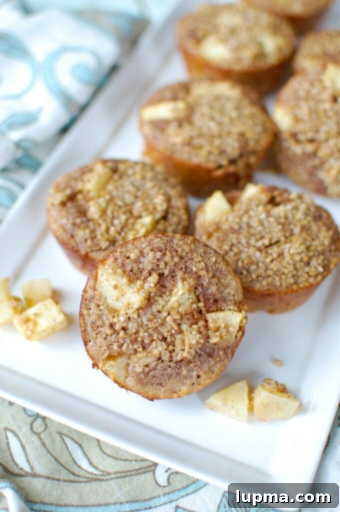Spiced Apple & Steel Cut Oat Breakfast Cups 2 Delicious Baked Apple Cinnamon Steel Cut Oat Cups, perfect for a healthy make-ahead breakfast or snack. Made with steel-cut oats, Greek yogurt, applesauce, cinnamon, and fresh apples.
