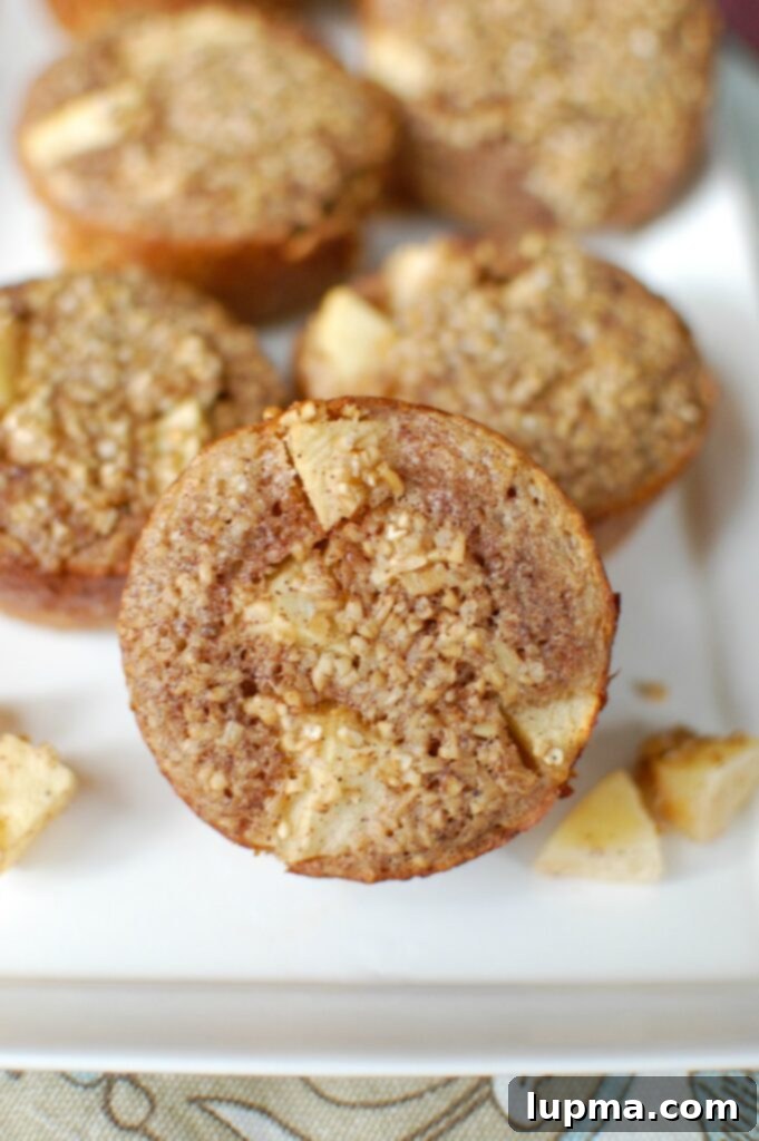 Spiced Apple & Steel Cut Oat Breakfast Cups 3 Close-up of baked apple cinnamon steel cut oat cups, showing the rich texture and visible apple pieces, ideal for quick and healthy meal prep.