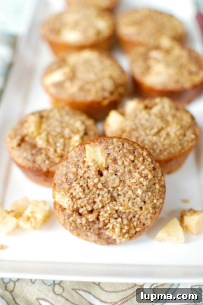 Spiced Apple & Steel Cut Oat Breakfast Cups 5 Close-up of a single Baked Apple Cinnamon Steel Cut Oat Cup with a spoon, emphasizing its deliciousness and convenience as a healthy breakfast.
