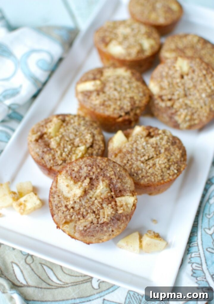 Spiced Apple & Steel Cut Oat Breakfast Cups 6 Plated Baked Apple Cinnamon Steel Cut Oat Cups garnished with fresh berries and maple syrup, showcasing a delightful and healthy breakfast option.