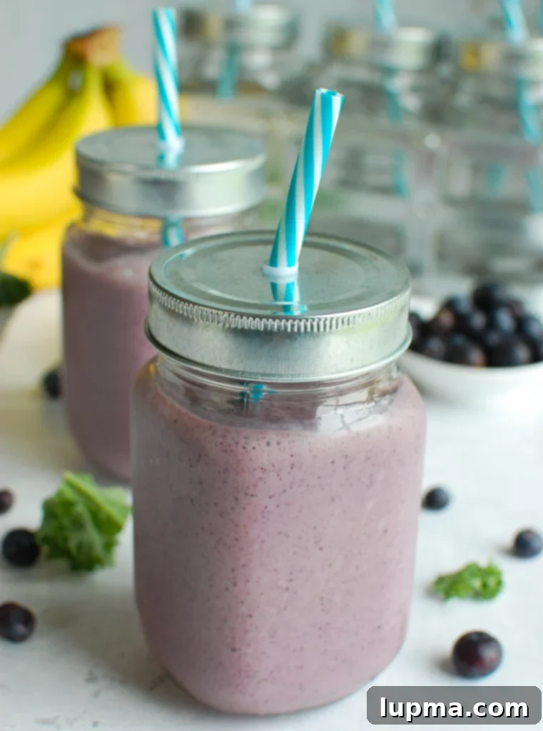 Blueberry Kale Power Blend 4 Blueberry Kale Smoothie two glasses.