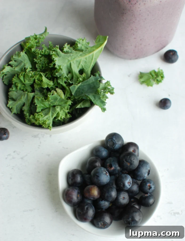 Blueberry Kale Power Blend 5 Blueberry Kale Smoothie Ingredients