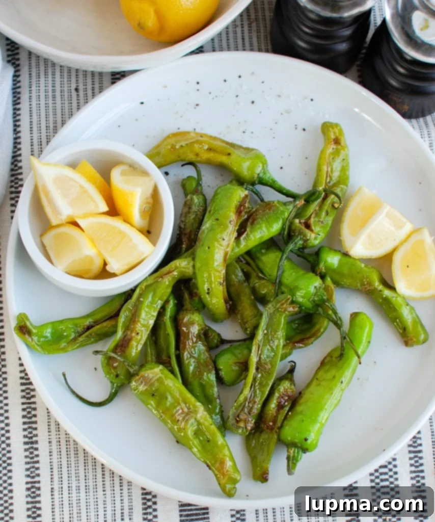 Mastering Shishito Peppers 2 Perfectly blistered Shishito Peppers on a white plate, garnished with a vibrant lemon wedge, ready to be enjoyed as a snack or side dish.