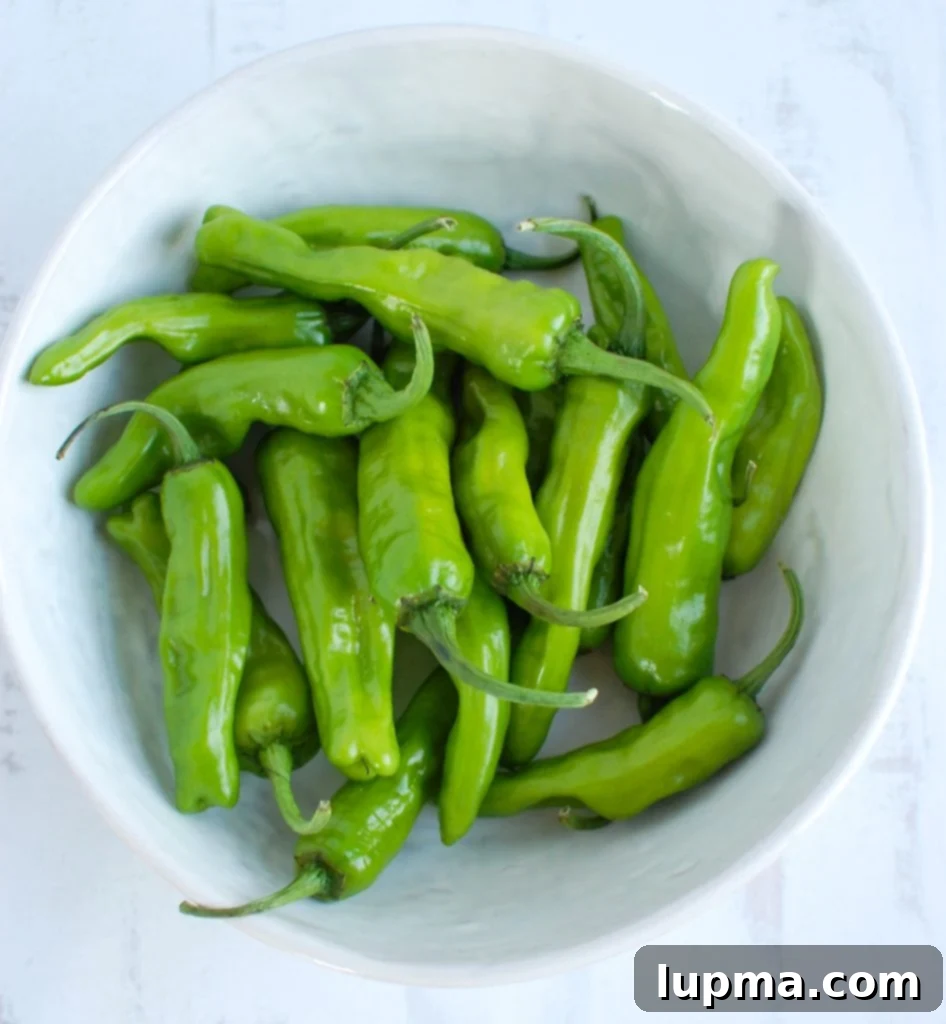 Mastering Shishito Peppers 3 Uncooked, fresh Shishito Peppers neatly arranged in a bowl before being seasoned and cooked, highlighting their vibrant green color.