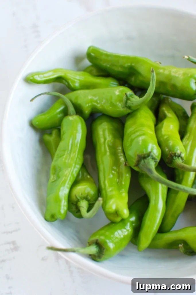 Mastering Shishito Peppers 4 Delicious blistered Shishito Peppers artfully arranged in a white bowl, accompanied by a fresh lemon wedge, creating a tempting appetizer or side.