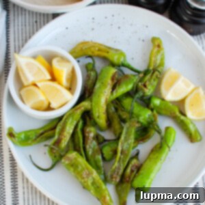 Mastering Shishito Peppers 6 Sautéed Shishito Peppers on a white plate with a lemon wedge, displaying their blistered texture.