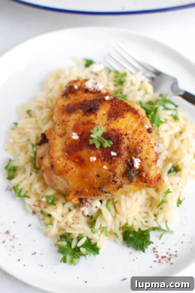 Vibrant Mediterranean Chicken 2 Mediterranean Chicken with parsley on a plate, showcasing its vibrant flavors.
