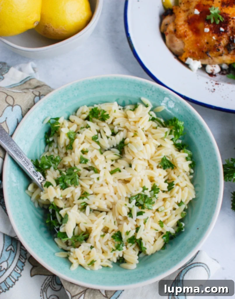 Vibrant Mediterranean Chicken 5 Mediterranean Chicken with Lemon Parsley Orzo served on a plate.