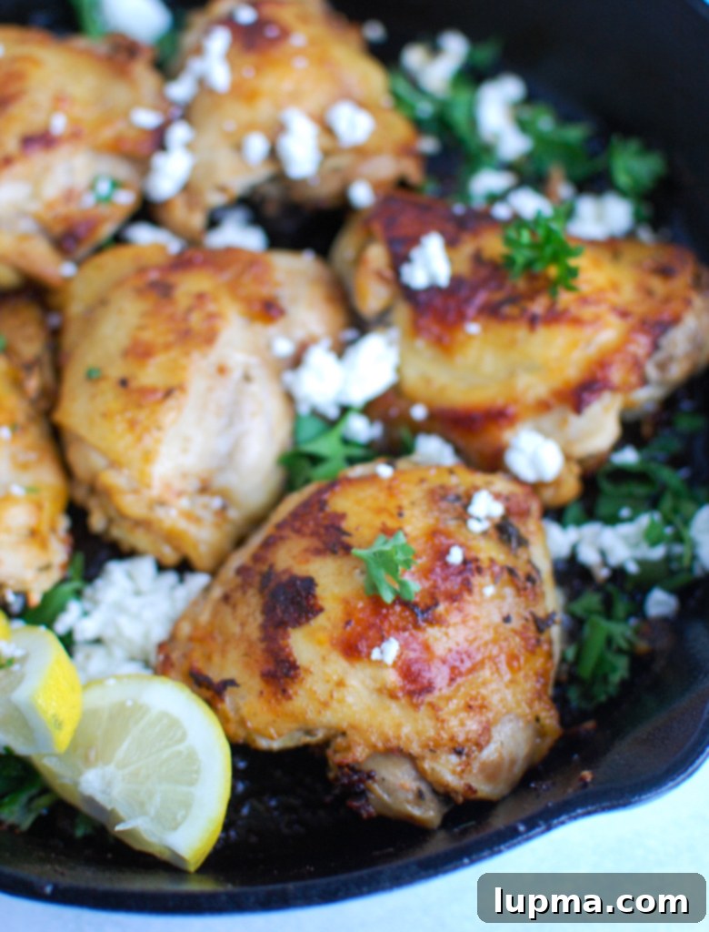 Vibrant Mediterranean Chicken 6 Mediterranean Chicken in a cast iron skillet, freshly baked.