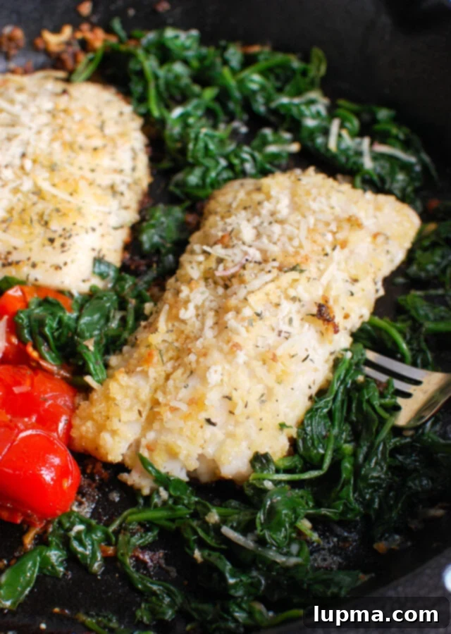 Black Sea Bass Recipe