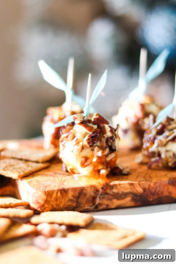 Honey-Kissed Goat Cheese Bites 2 Honey Goat Cheese Balls with toothpicks