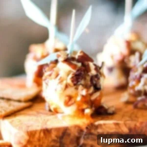 Honey-Kissed Goat Cheese Bites 9 Honey Goat Cheese Balls 1200 x 1200