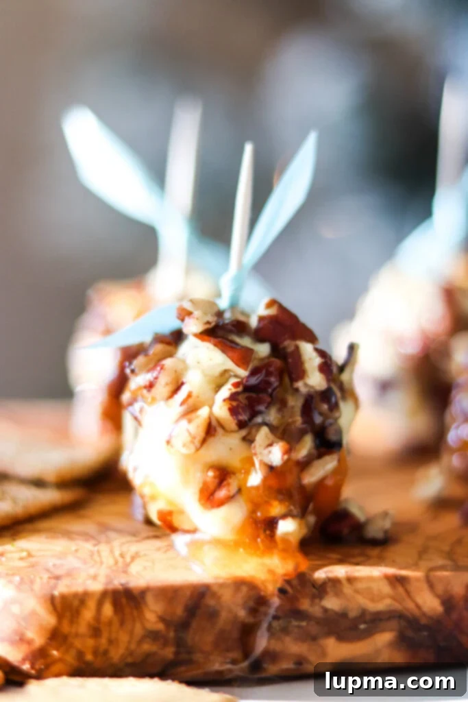 Honey-Kissed Goat Cheese Bites 3 Honey Goat Cheese Balls on board
