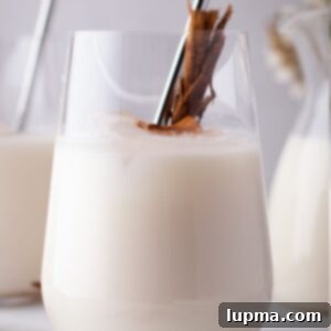 The Ultimate Horchata Recipe 8 A glass of Horchata garnished with cinnamon.